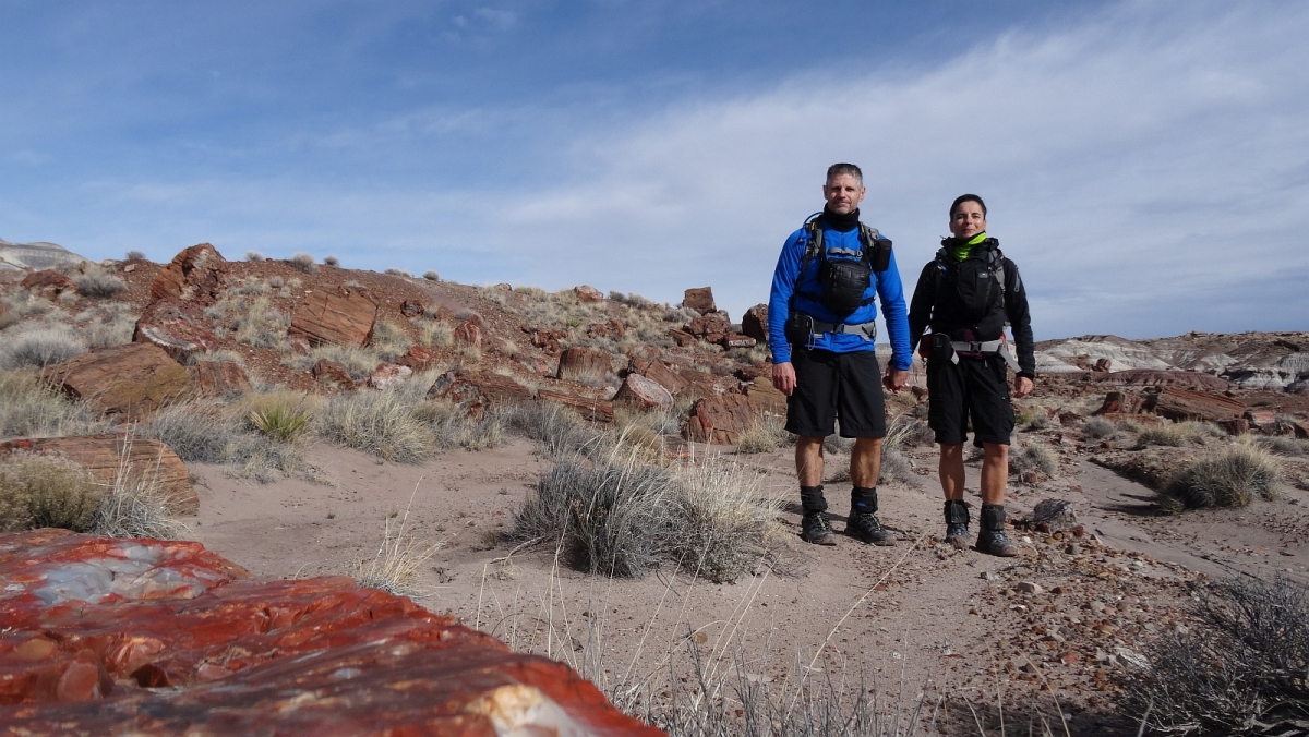 Jasper Forest – Petrified Forest National Park – Arizona