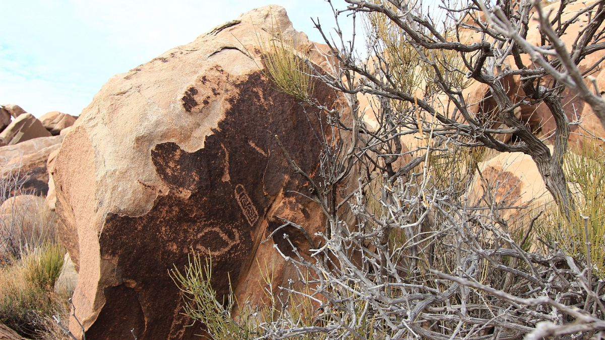 Petrified Forest National Park – Arizona