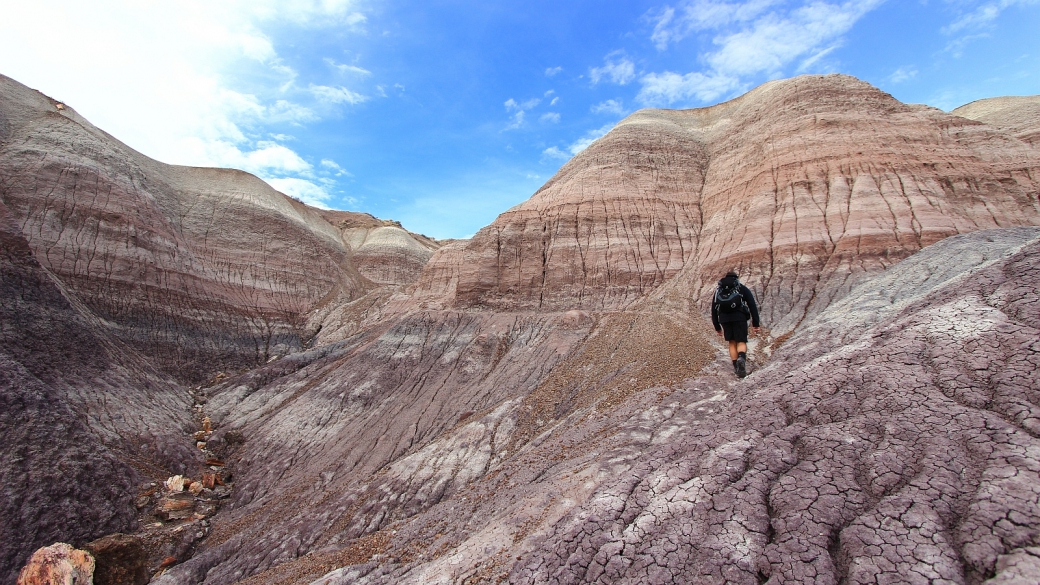 Le Blue Forest Trail, cet ancien sentier construit par les CCC, part d'ici. À Petrified Forest National Park, Arizona.