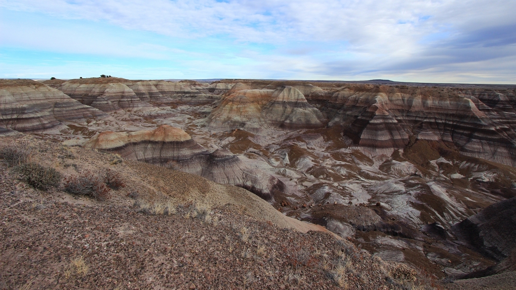 Belle vue sur la Blue Mesa depuis le Blue Forest Trail, à Petrified Forest National Park, Arizona.