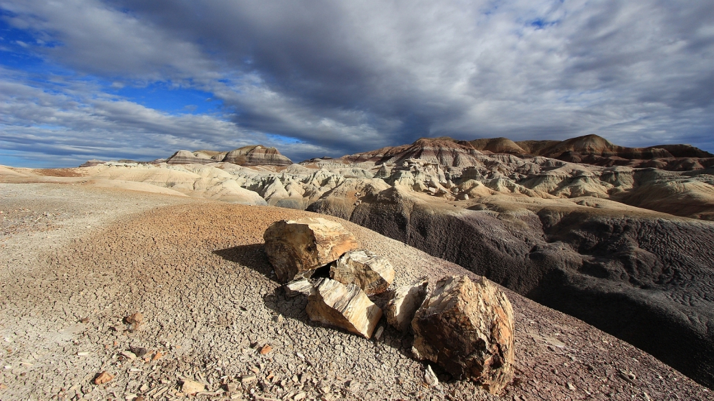 Restes de tronc pétrifié sur le Blue Forest Trail, à Petrified Forest National Park, Arizona.