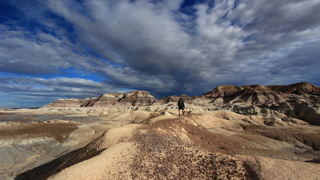 Stefano sur le Blue Forest Trail, à Petrified Forest National Park, Arizona.