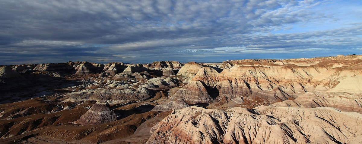 Vue sur la Blue Mesa depuis le Blue Forest Trail, à Petrified Forest National Park, Arizona.