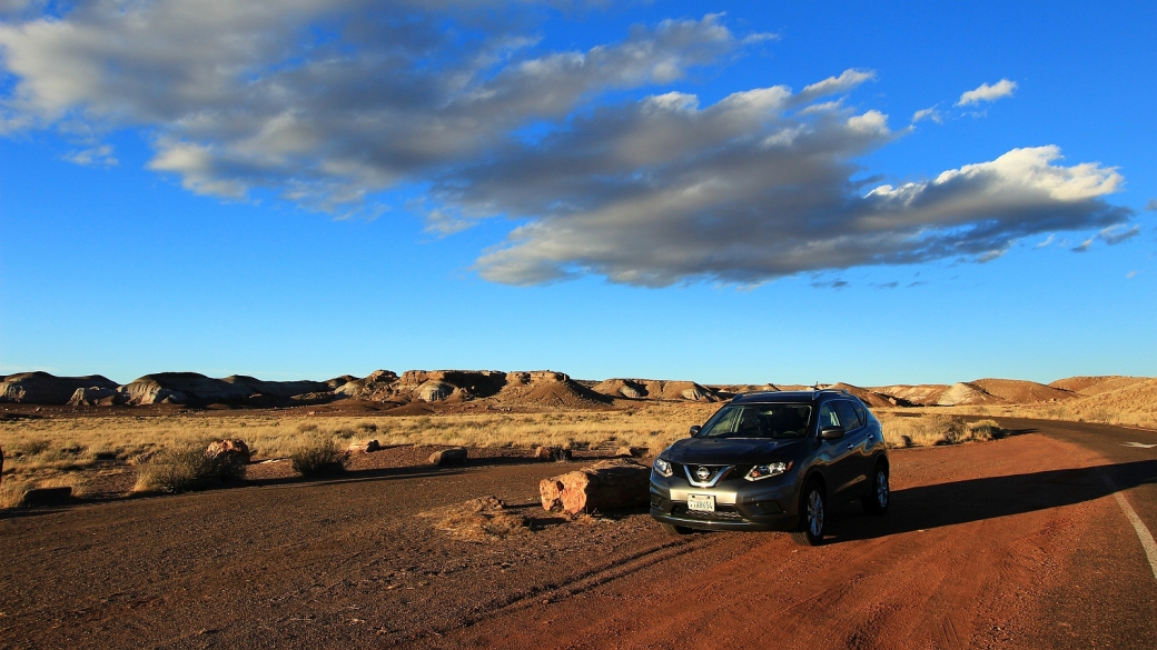 Blue Mesa Loop Road - Petrified Forest National Park - Arizona