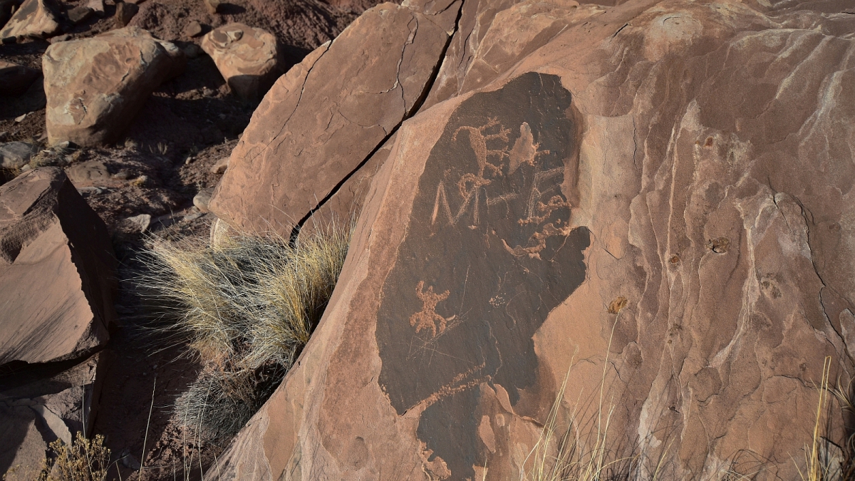 Painted Desert Wilderness Area – Petrified Forest National Monument – Arizona