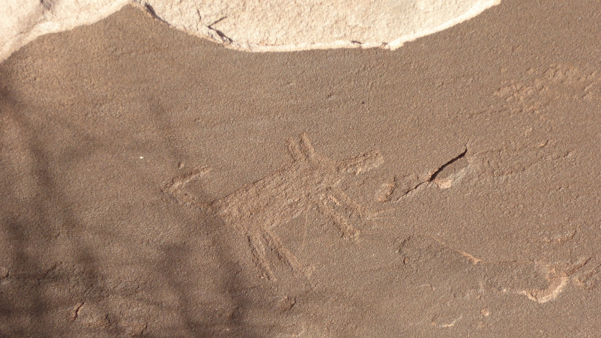 Painted Desert Wilderness Area – Petrified Forest National Monument – Arizona