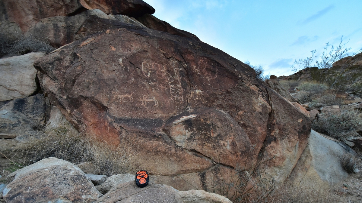 Grapevine Canyon – Clark County – Nevada