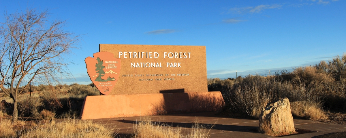 Petrified Forest National Park