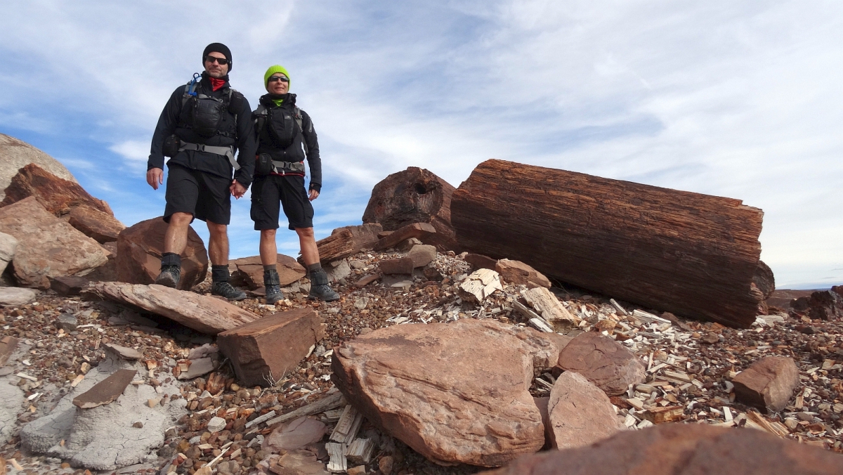 Red Basin – Petrified Forest National Park – Arizona