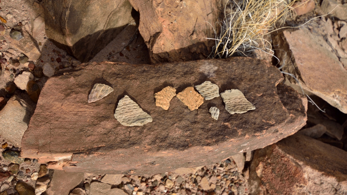 Red Basin – Petrified Forest National Parc – Arizona