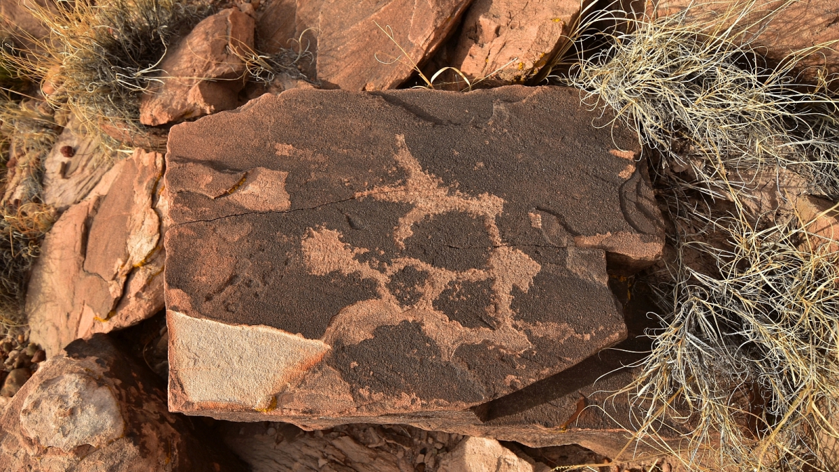Red Basin – Petrified Forest National Parc – Arizona
