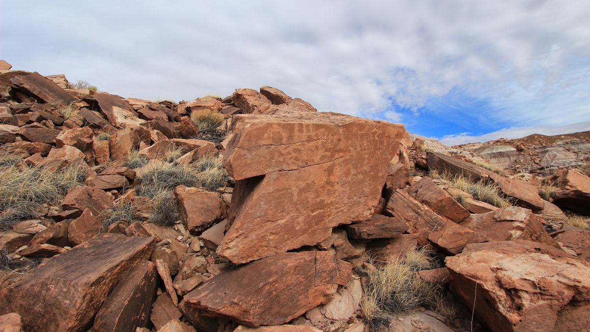 Red Basin – Petrified Forest National Parc – Arizona