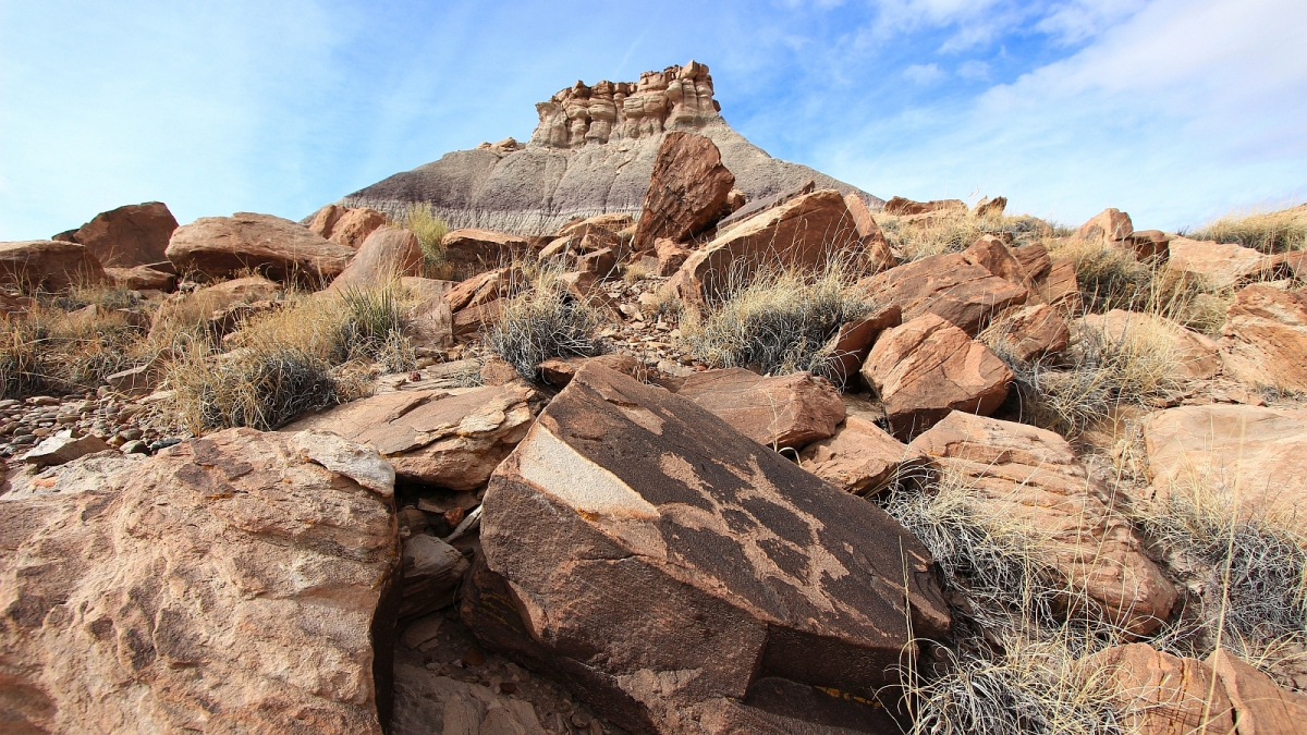 Red Basin – Petrified Forest National Parc – Arizona