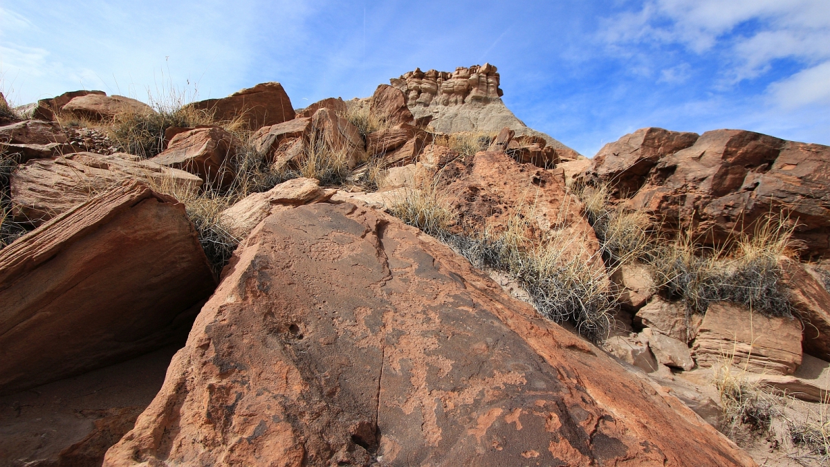 Red Basin – Petrified Forest National Parc – Arizona