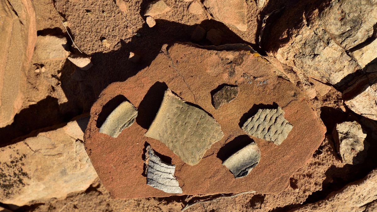 Red Basin – Petrified Forest National Park – Arizona