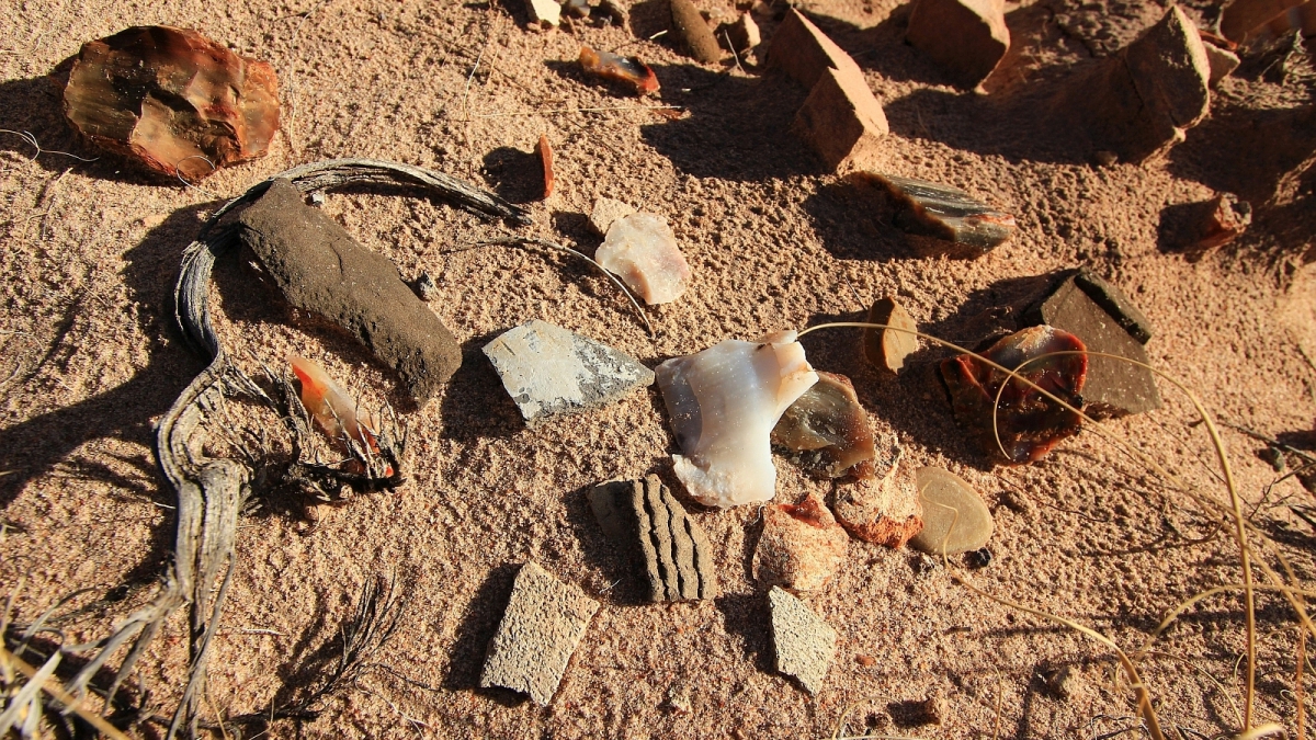 Red Basin – Petrified Forest National Park – Arizona