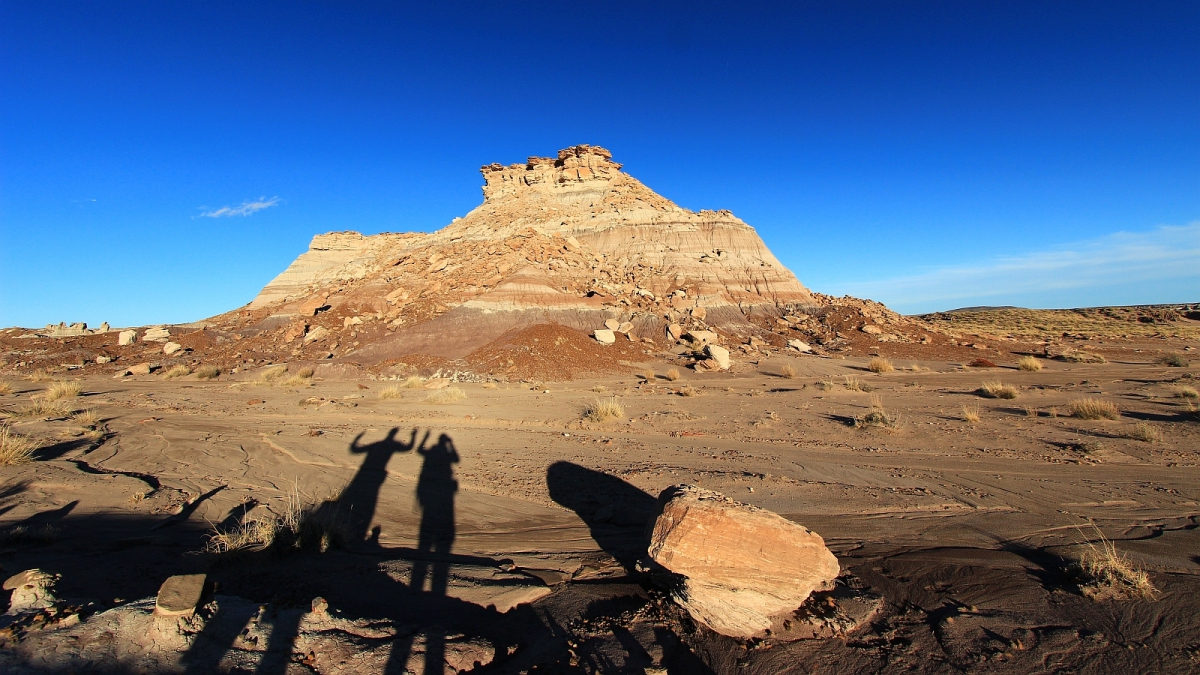 Red Basin – Petrified Forest National Park – Arizona