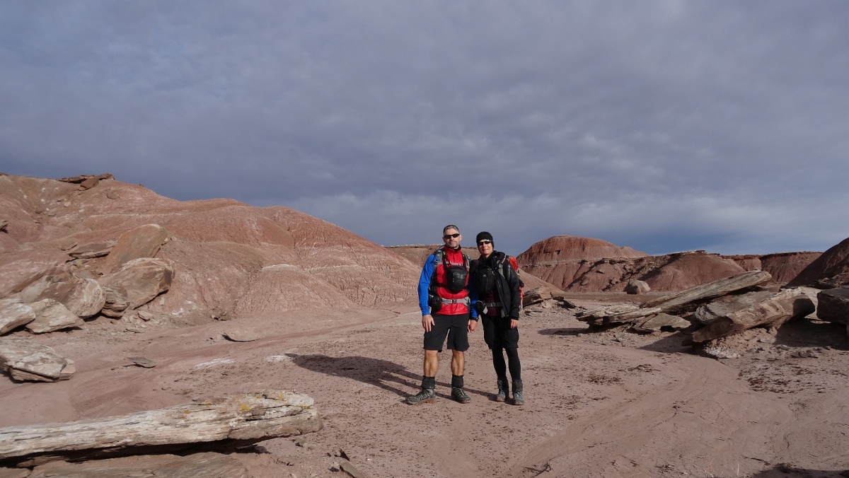 Black Forest – Petrified Forest National Monument – Arizona