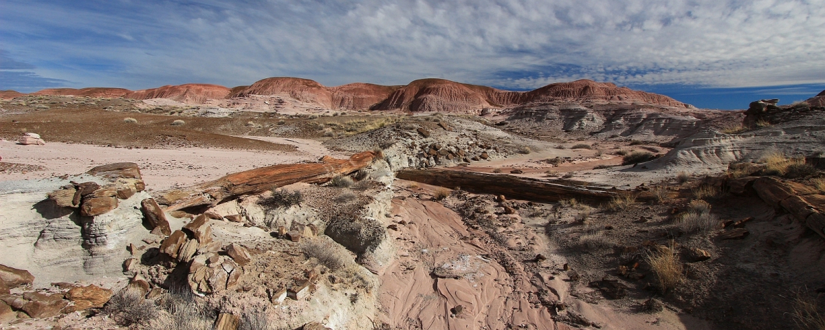 Black Forest - Petrifed Forest National Park - Arizona