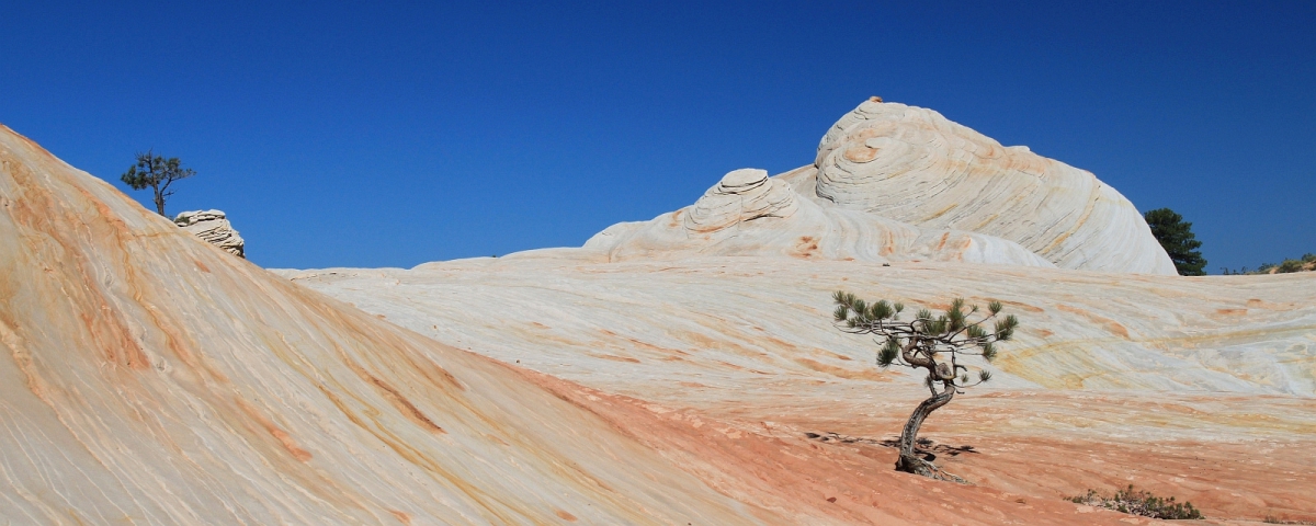 Canaan Mountain - Southern Utah