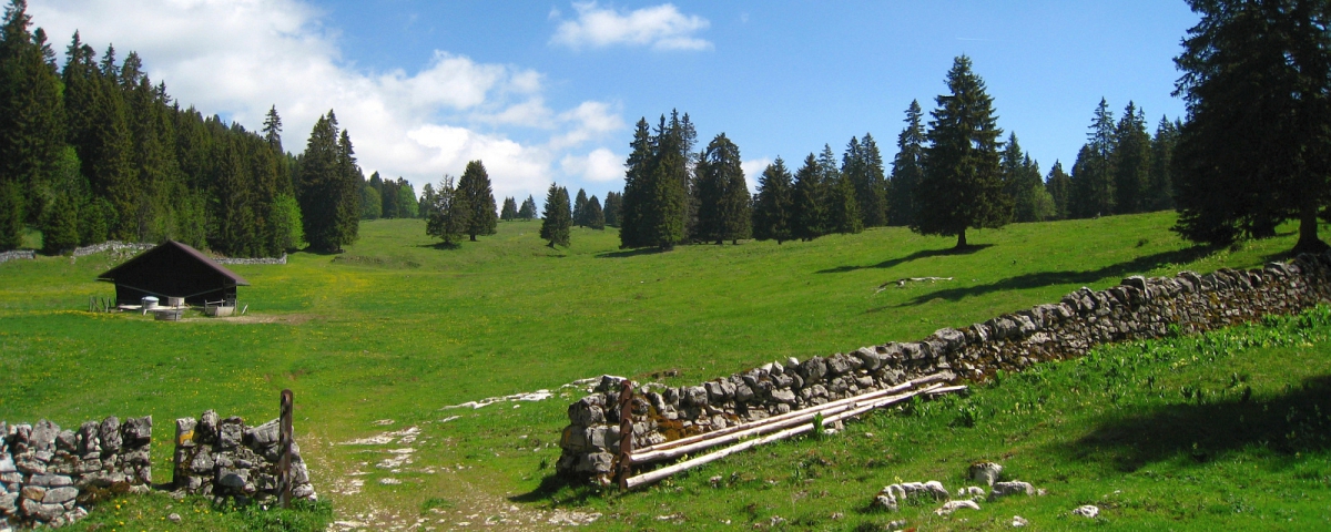 Le Jura Vaudois