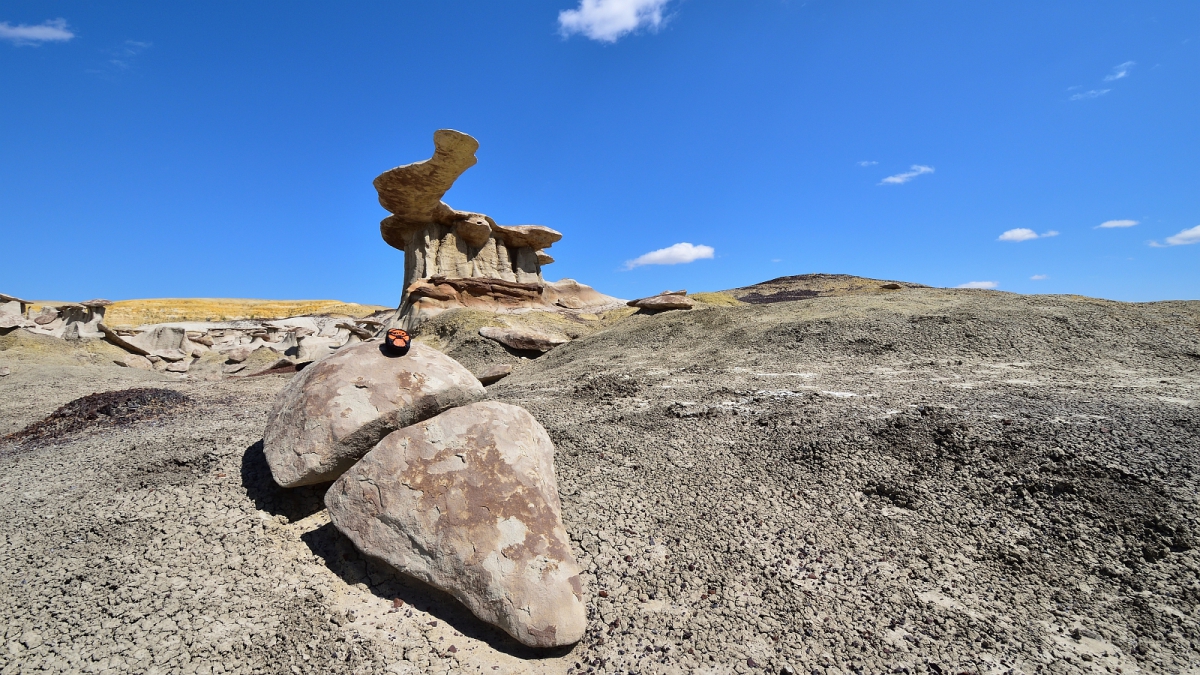 King of Wings – Ah-shi-sle-pah Wilderness Area – New Mexico