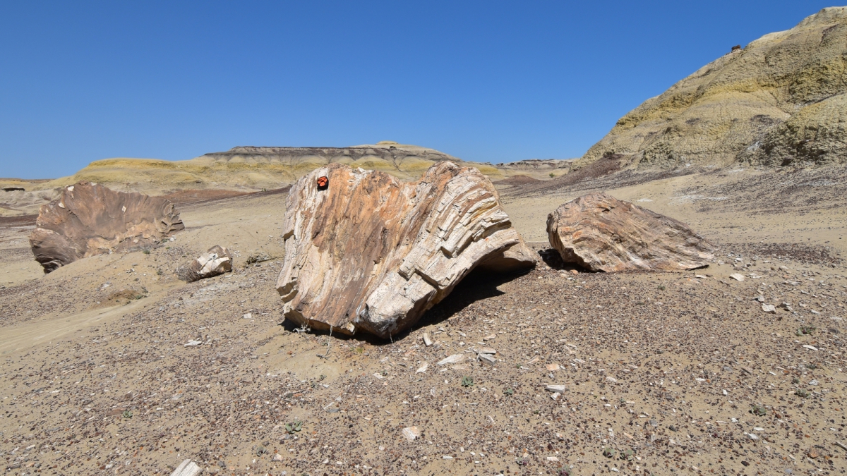 Bisti Wilderness Area – New Mexico