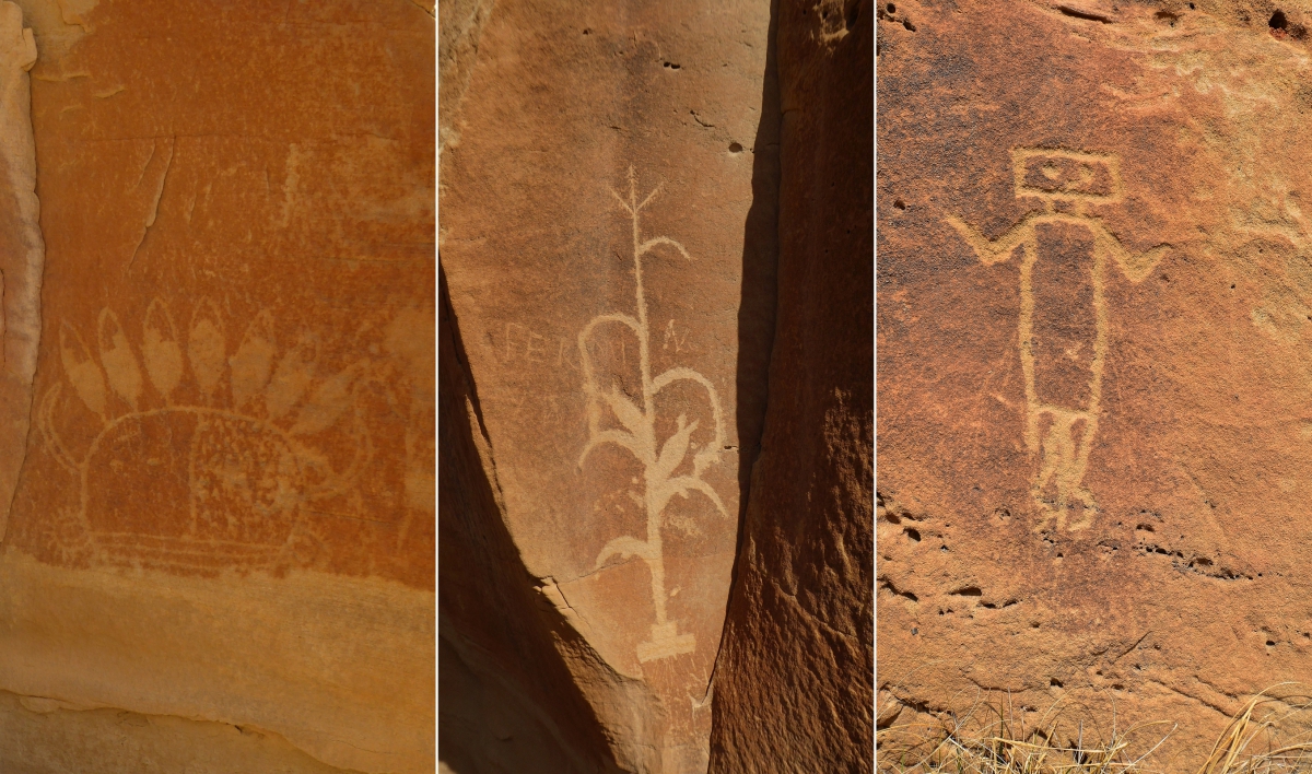 Crow Canyon – New Mexico