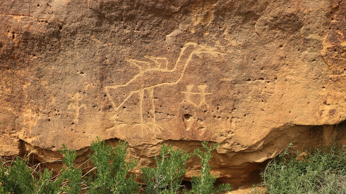 Big Warrior Panel – Crow Canyon – New Mexico
