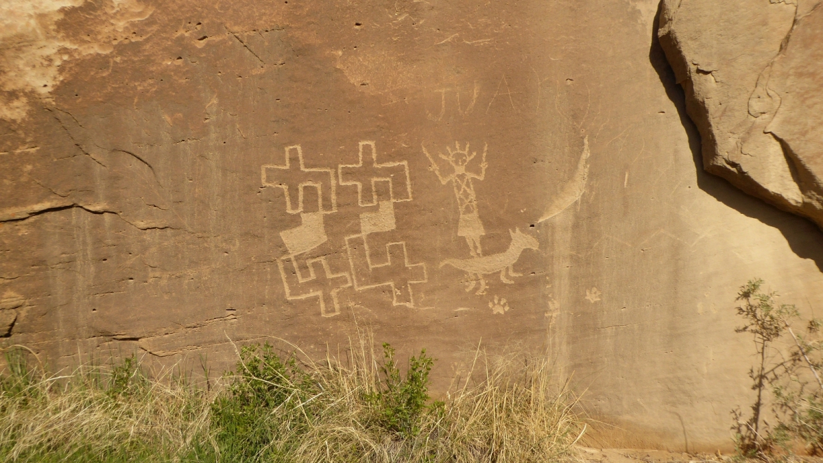 44 Panel – Crow Canyon – New Mexico