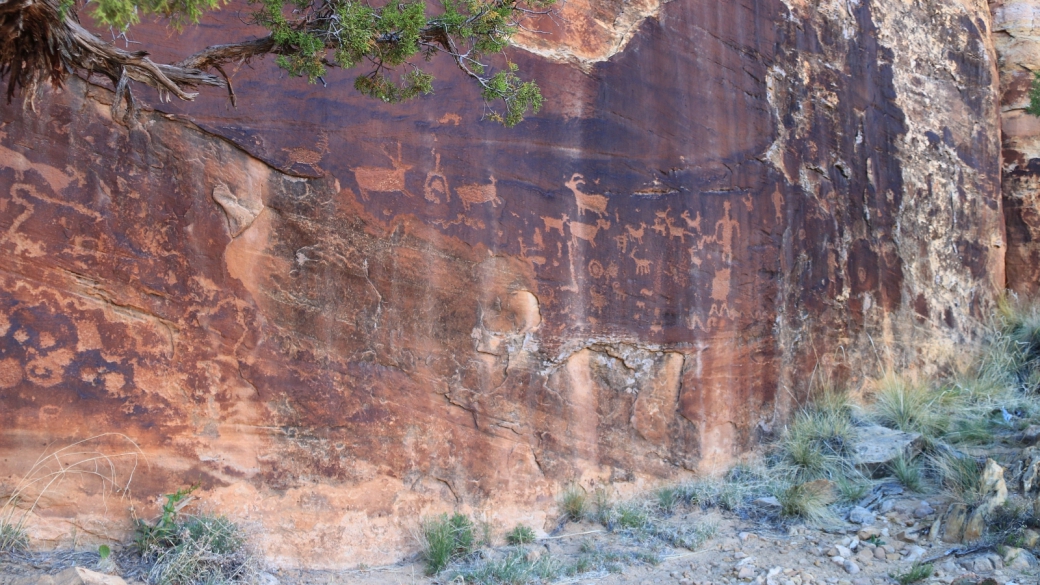 Belle vue sur un panel de pétroglyphes de Shay Canyon, à Indian Creek, près de Monticello, dans l'Utah.