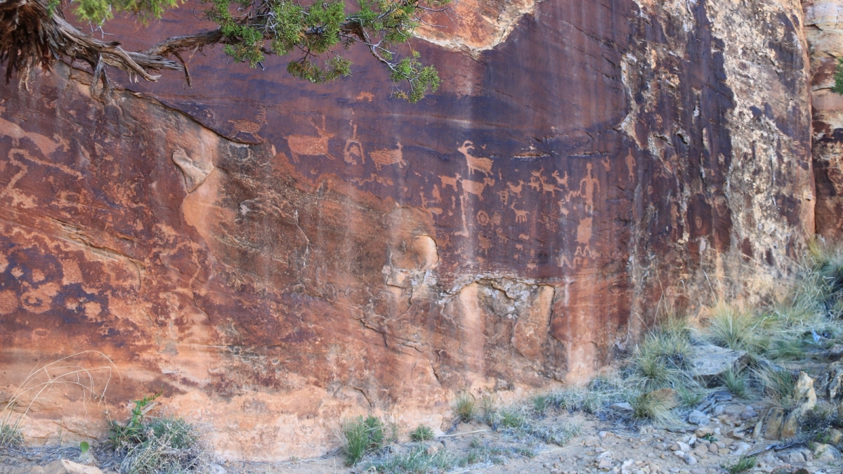 Shay Canyon – Idian Creek – Utah
