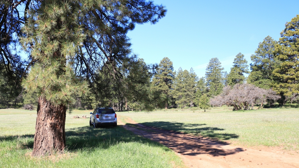 Hammond Canyon Trailhead - Cedar Mesa - Utah