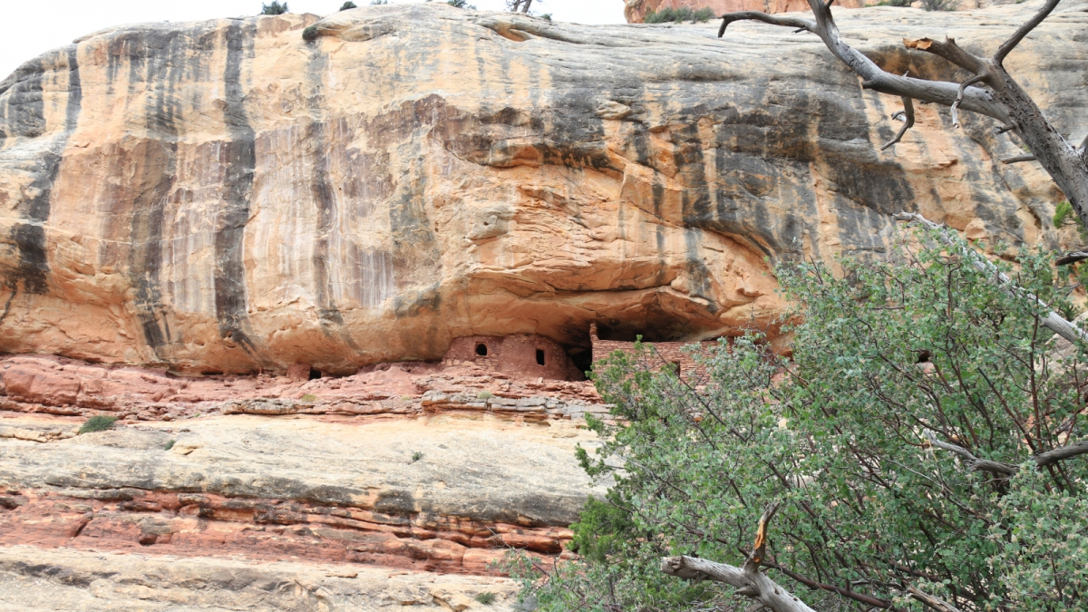 Three Fingers Ruins – Hammond Canyon – Utah
