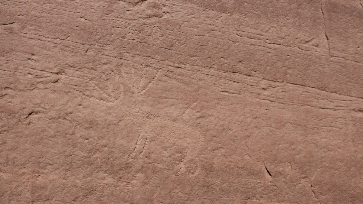 Lower Butler Wash – Cedar Mesa – Utah