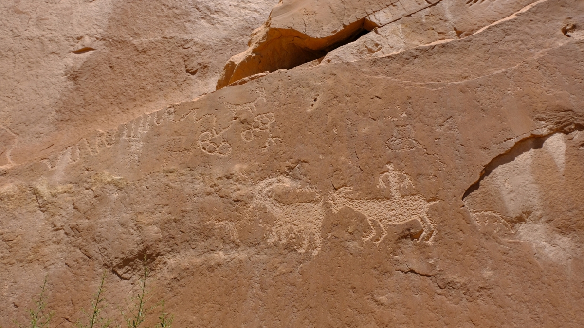 River Panel – Lower Butler Wash – Cedar Mesa – Utah