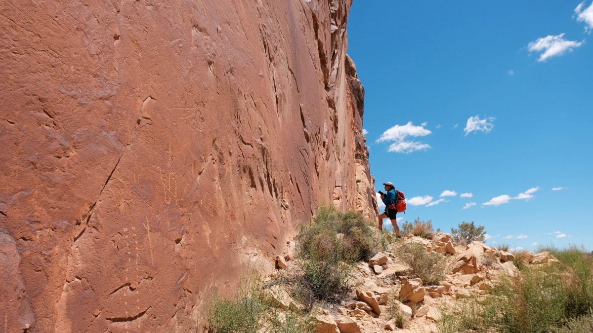 River Panel – Lower Butler Wash – Cedar Mesa – Utah
