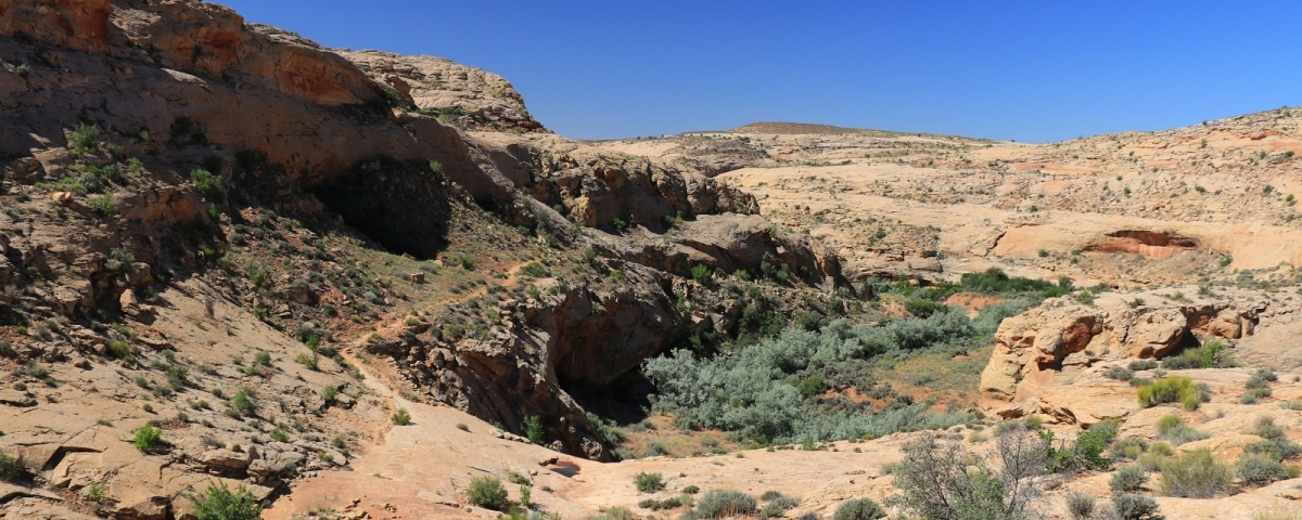 Lower Butler Wash, près de Bluff, dans l'Utah.