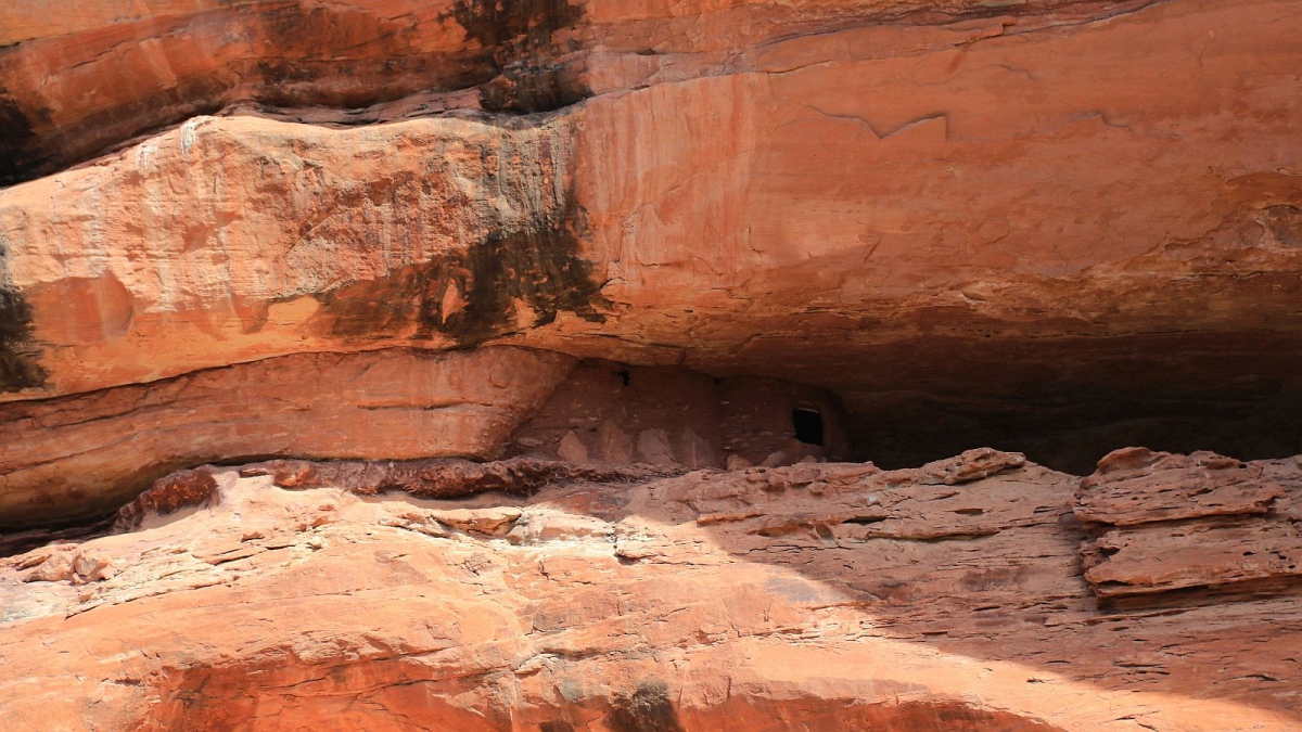 Todie Canyon – Cedar Mesa – Utah