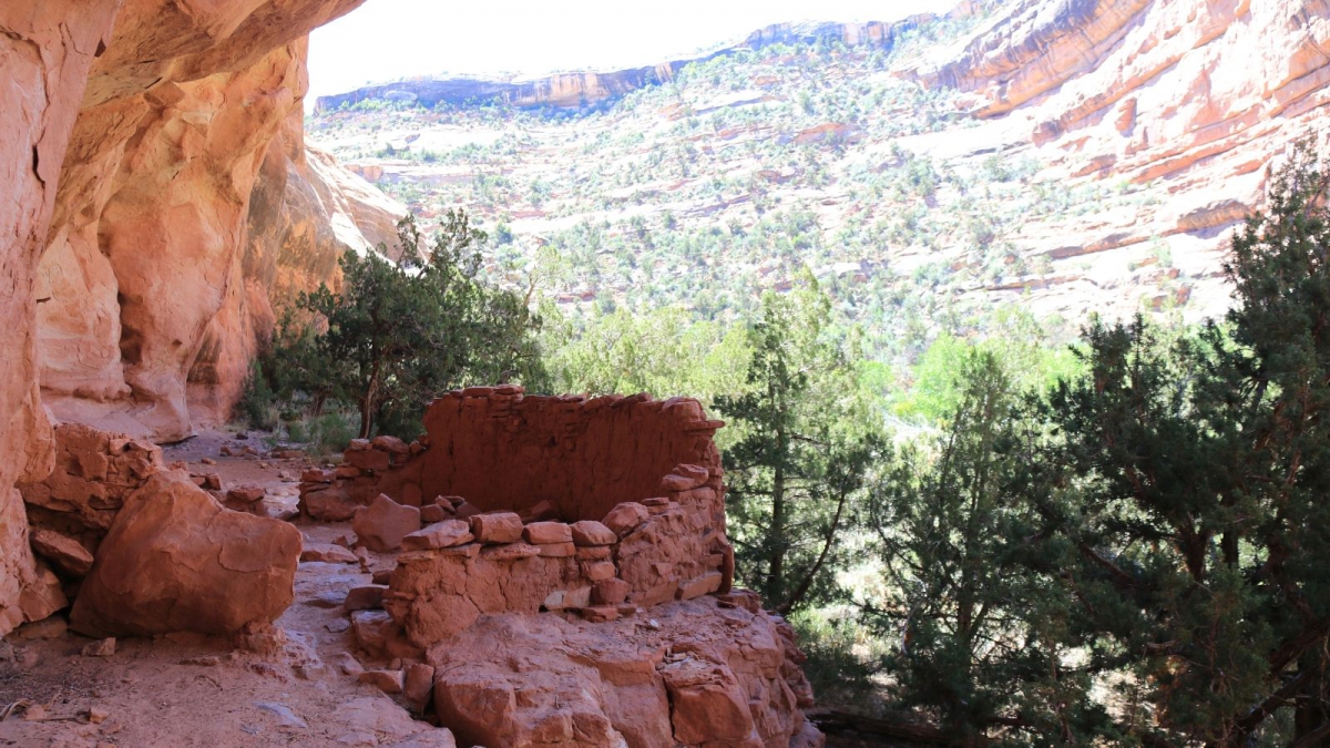 Grand Gulch – Cedar Mesa – Utah