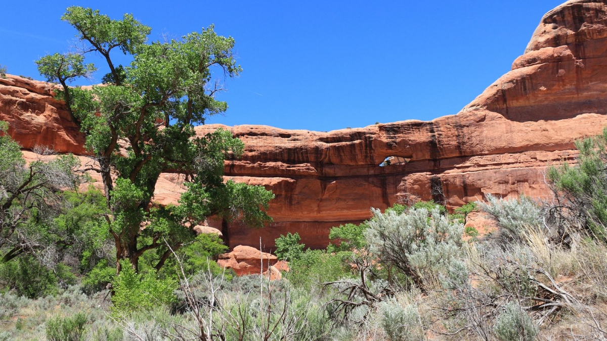 Stimper Arch – Grand Gulch – Cedar Mesa – Utah