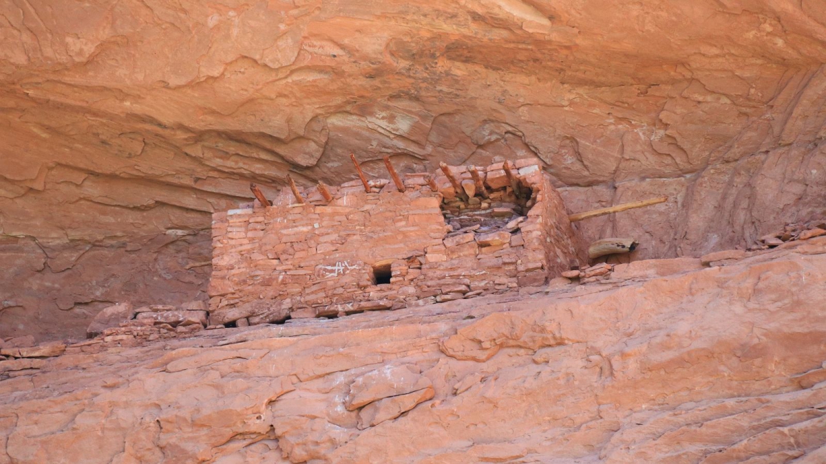 Turkey Pen – Grand Gulch – Cedar Mesa – Utah