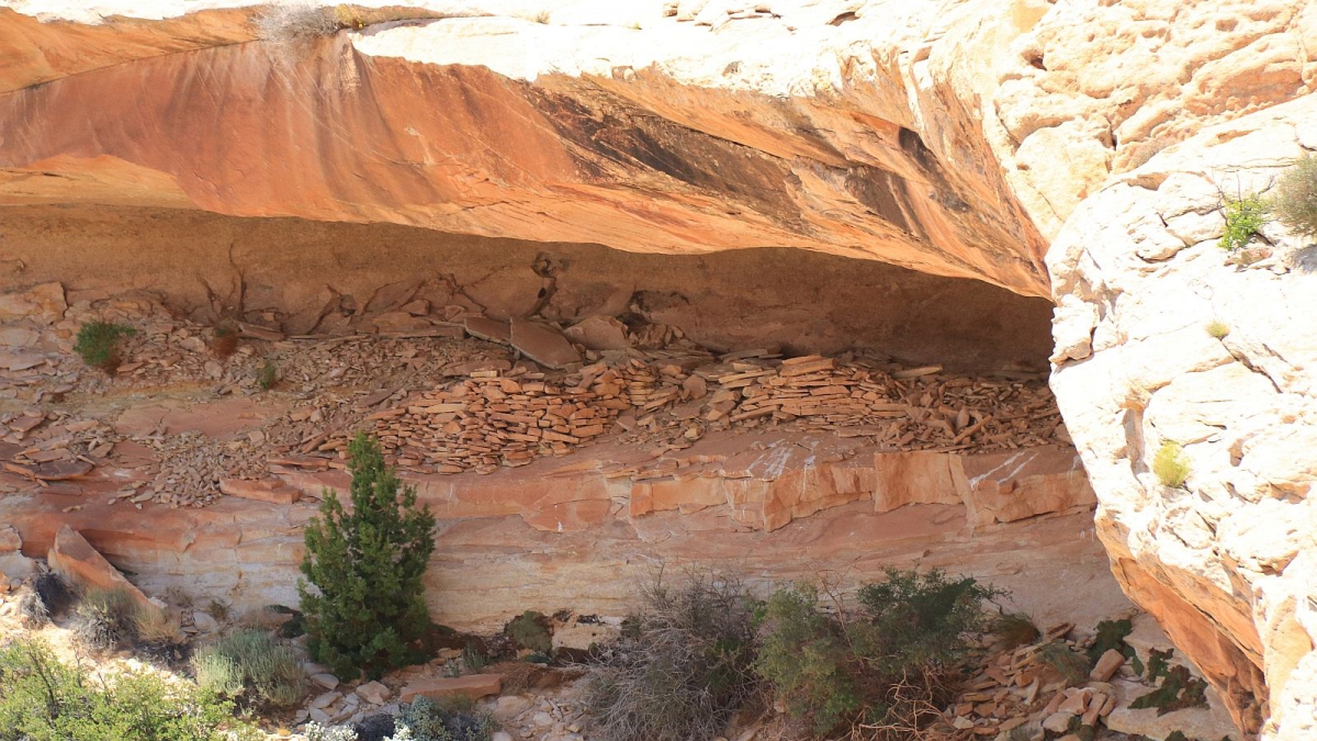 Combe Ridge – Cedar Mesa – Utah