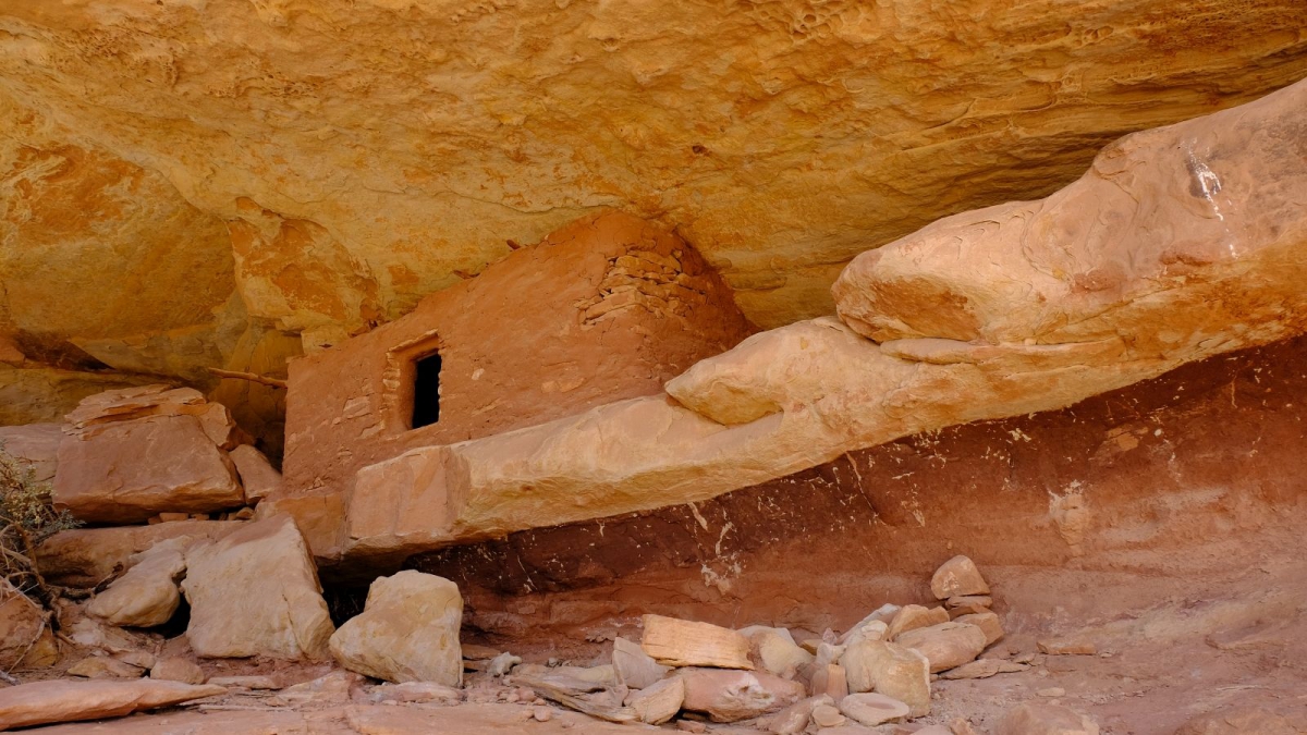 First Fork of Slickhorn Canyon – Cedar Mesa – Utah