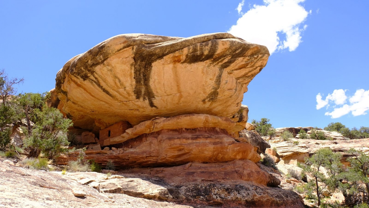 First Fork of Slickhorn Canyon – Cedar Mesa – Utah