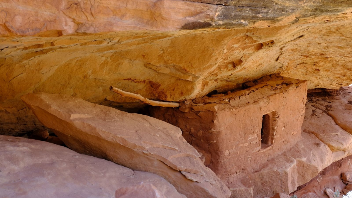 First Fork of Slickhorn Canyon – Cedar Mesa – Utah