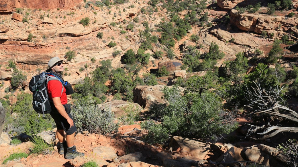 Début de la descente du First Fork of Slickhorn Canyon. Cedar Mesa, près de Blanding, Utah.