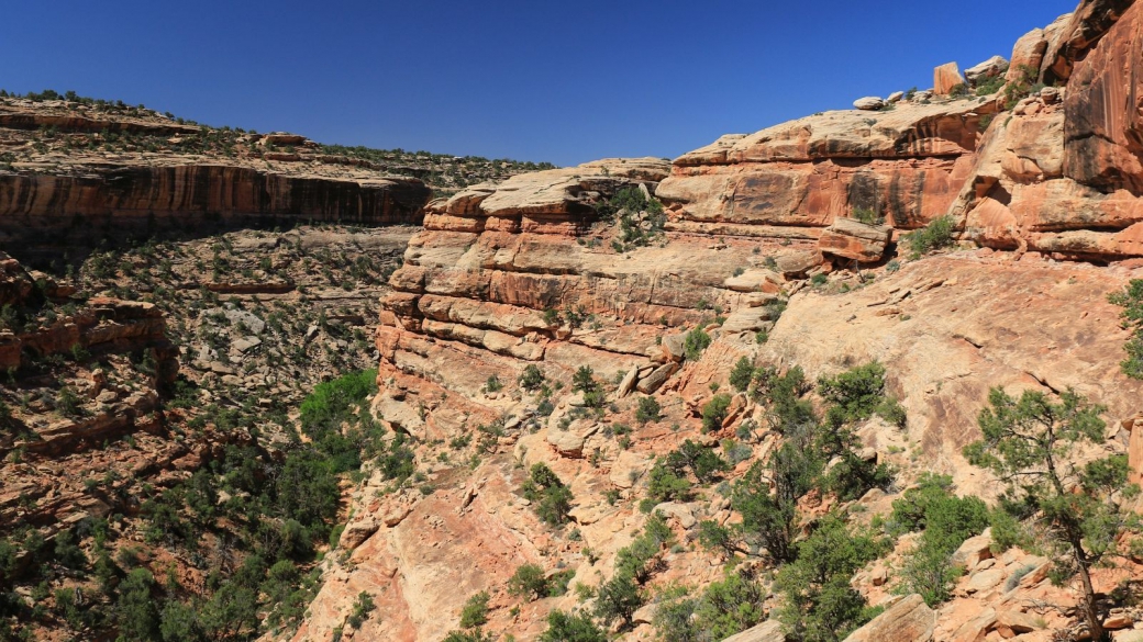 Vue sur le First Fork of Slickhorn Canyon. Cedar Mesa, près de Blanding, Utah.