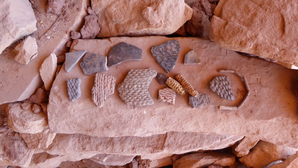 Fragments de poterie près du Perfect Kiva du First Fork of Slickhorn Canyon. Cedar Mesa, près de Blanding, Utah.