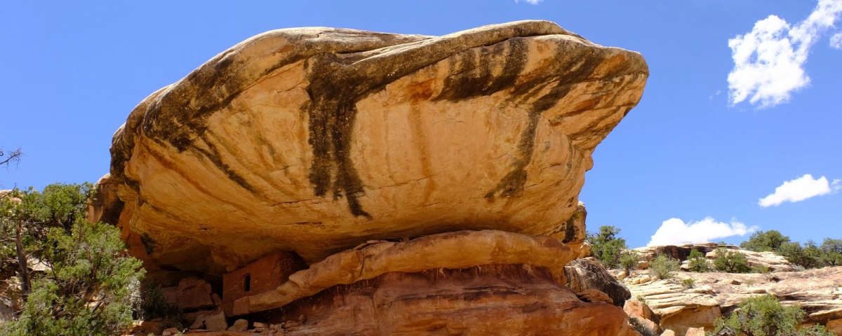 First Fork of Slickhorn Canyon. Cedar Mesa, près de Blanding, Utah.